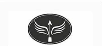 Arrow EV logo