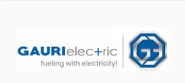 Gauri Auto India (Gauri Electric) logo